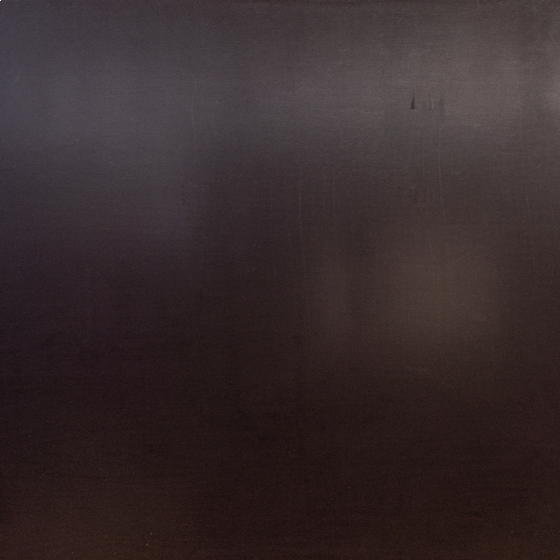 15mm Birken Siebdruckplatte – Multiplex, Wasserfest & Phenolharzbeschichtet Für Innen & Außen, Zuschnitt Bis 200cm